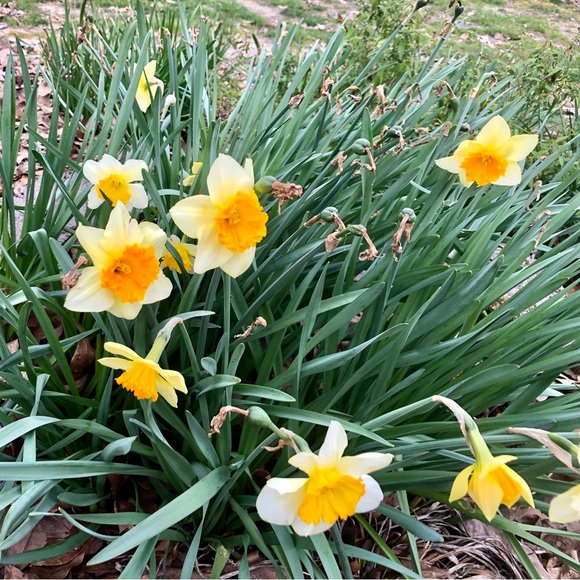 Meet your Posher, Warren - Picture 6 of 11